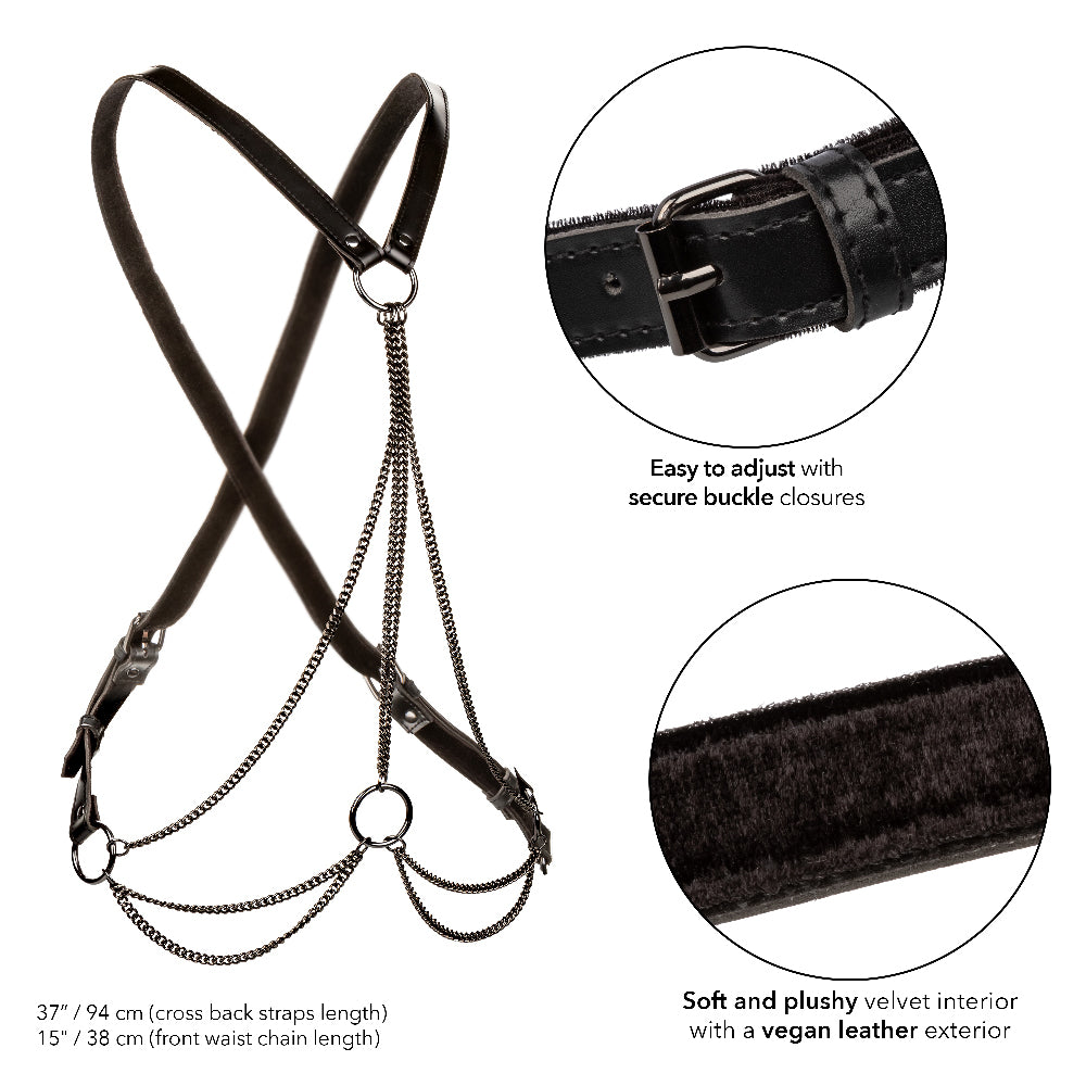 Euphoria Collection Multi Chain Harness - Black